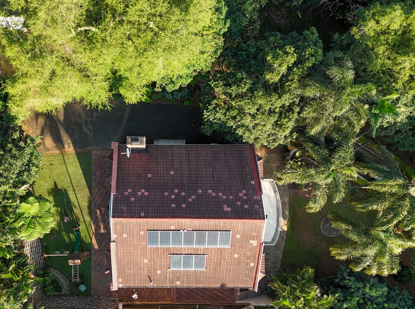 751166_dji_fly_20250608_150458_0156_1749476030059_photo.jpg
